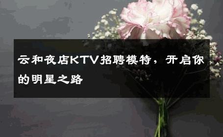 云和夜店KTV招聘模特，开启你的明星之路