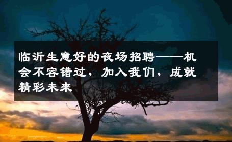 临沂生意好的夜场招聘——机会不容错过，加入我们，成就精彩未来