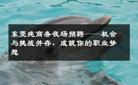 东莞纯商务夜场招聘——机会与挑战并存，成就你的职业梦想