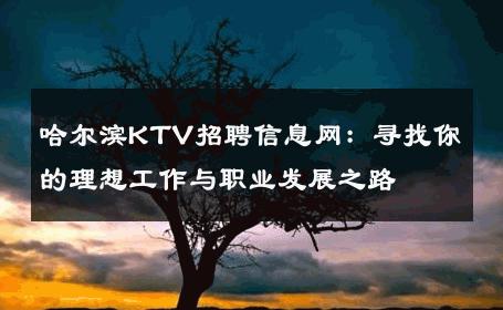 哈尔滨KTV招聘信息网：寻找你的理想工作与职业发展之路