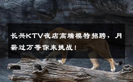 长兴KTV夜店高端模特招聘，月薪过万等你来挑战！