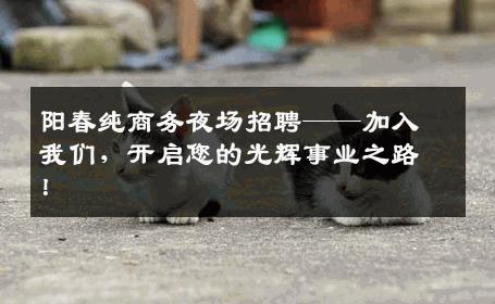 阳春纯商务夜场招聘——加入我们，开启您的光辉事业之路！