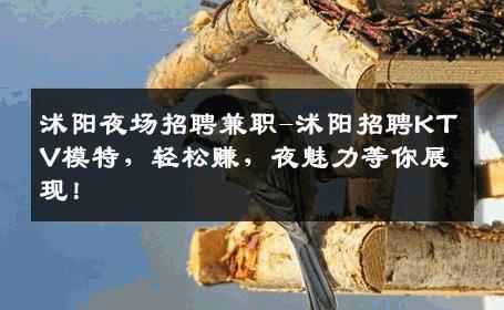 沭阳夜场招聘兼职-沭阳招聘KTV模特，轻松赚，夜魅力等你展现！