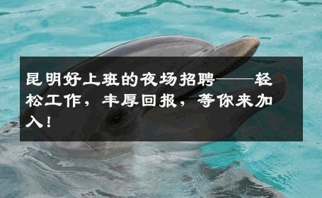 昆明好上班的夜场招聘——轻松工作，丰厚回报，等你来加入！