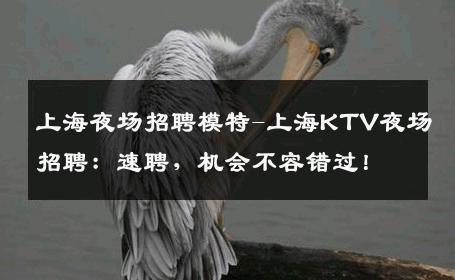 上海夜场招聘模特-上海KTV夜场招聘：速聘，机会不容错过！