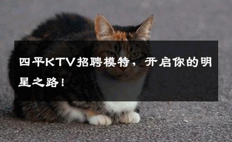 四平KTV招聘模特，开启你的明星之路！