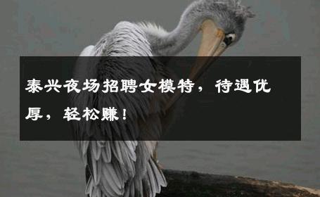泰兴夜场招聘女模特，待遇优厚，轻松赚！