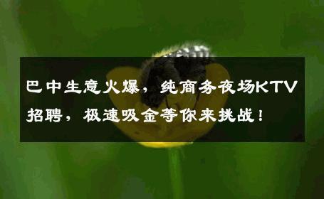 巴中生意火爆，纯商务夜场KTV招聘，极速吸金等你来挑战！