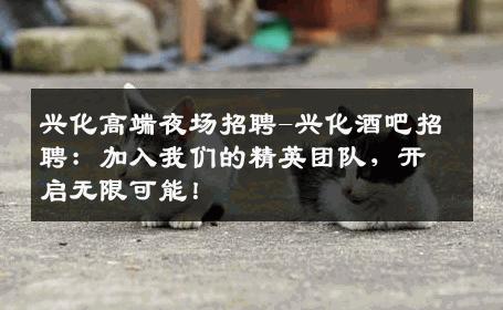 兴化高端夜场招聘-兴化酒吧招聘：加入我们的精英团队，开启无限可能！