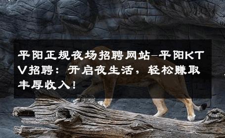平阳正规夜场招聘网站-平阳KTV招聘：开启夜生活，轻松赚取丰厚收入！