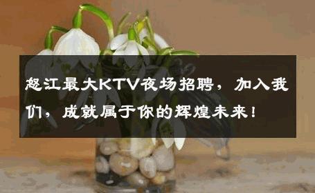 怒江最大KTV夜场招聘，加入我们，成就属于你的辉煌未来！