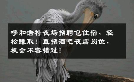 呼和浩特夜场招聘包住宿，轻松赚取！直招酒吧夜店岗位，机会不容错过！