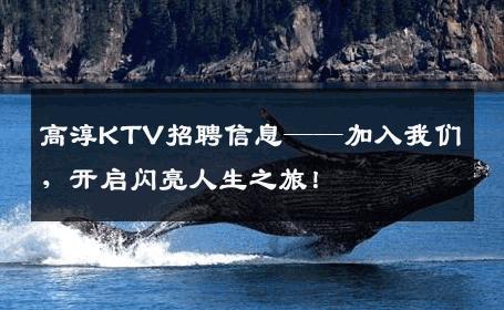 高淳KTV招聘信息——加入我们，开启闪亮人生之旅！