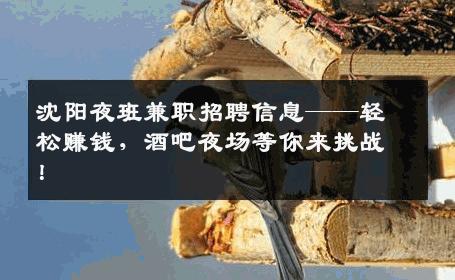 沈阳夜班兼职招聘信息——轻松赚钱，酒吧夜场等你来挑战！