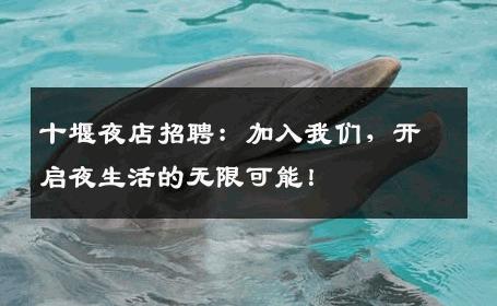 十堰夜店招聘：加入我们，开启夜生活的无限可能！