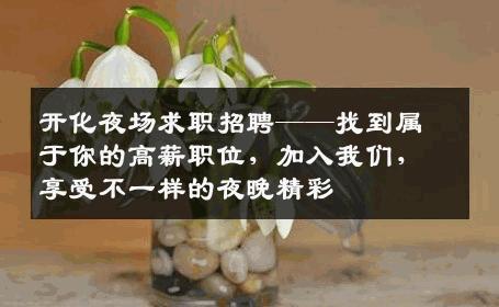 开化夜场求职招聘——找到属于你的高薪职位，加入我们，享受不一样的夜晚精彩