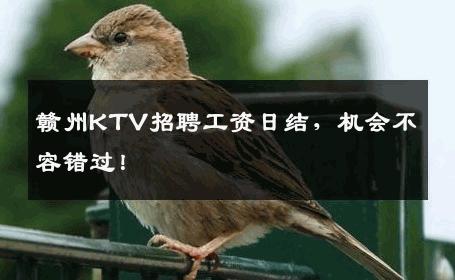 赣州KTV招聘工资日结，机会不容错过！