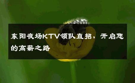 东阳夜场KTV领队直招，开启您的高薪之路