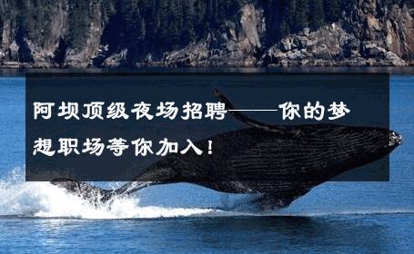 阿坝顶级夜场招聘——你的梦想职场等你加入！