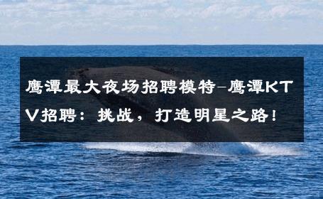 鹰潭最大夜场招聘模特-鹰潭KTV招聘：挑战，打造明星之路！
