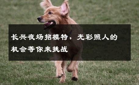 长兴夜场招模特，光彩照人的机会等你来挑战