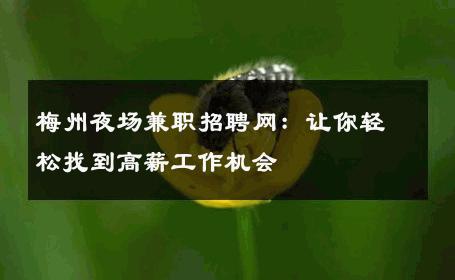 梅州夜场兼职招聘网：让你轻松找到高薪工作机会