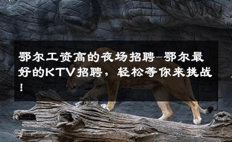 鄂尔工资高的夜场招聘-鄂尔最好的KTV招聘，轻松等你来挑战！