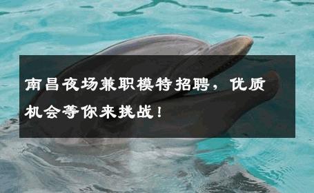 南昌夜场兼职模特招聘，优质机会等你来挑战！
