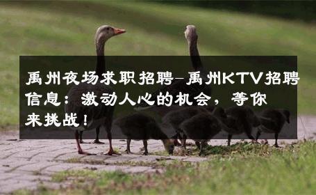 禹州夜场求职招聘-禹州KTV招聘信息：激动人心的机会，等你来挑战！