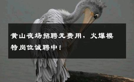 黄山夜场招聘无费用，火爆模特岗位诚聘中！