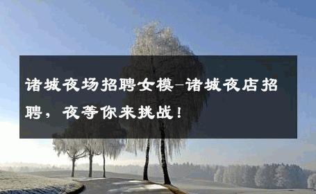 诸城夜场招聘女模-诸城夜店招聘，夜等你来挑战！