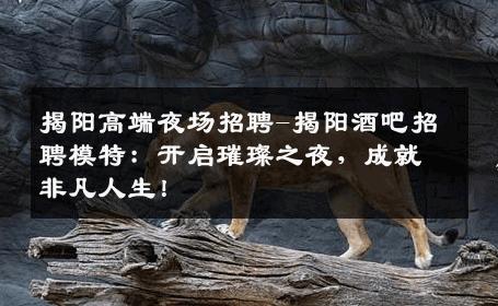 揭阳高端夜场招聘-揭阳酒吧招聘模特：开启璀璨之夜，成就非凡人生！