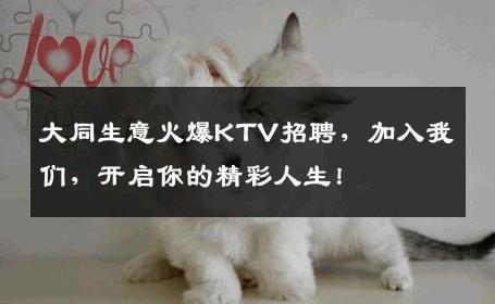 大同生意火爆KTV招聘，加入我们，开启你的精彩人生！