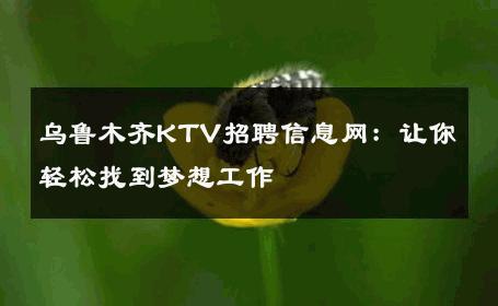 乌鲁木齐KTV招聘信息网：让你轻松找到梦想工作