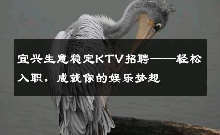 宜兴生意稳定KTV招聘——轻松入职，成就你的娱乐梦想