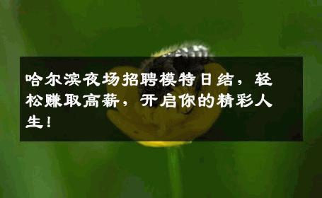 哈尔滨夜场招聘模特日结，轻松赚取高薪，开启你的精彩人生！