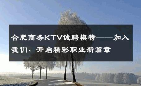 合肥商务KTV诚聘模特——加入我们，开启精彩职业新篇章