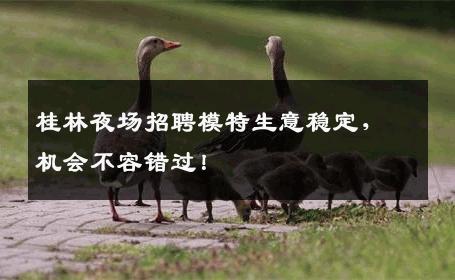 桂林夜场招聘模特生意稳定，机会不容错过！