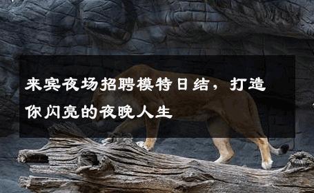 来宾夜场招聘模特日结，打造你闪亮的夜晚人生