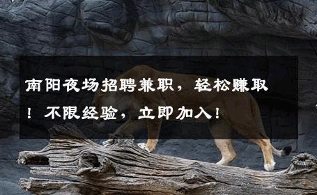 南阳夜场招聘兼职，轻松赚取！不限经验，立即加入！