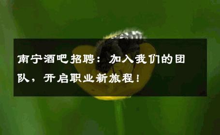 南宁酒吧招聘：加入我们的团队，开启职业新旅程！