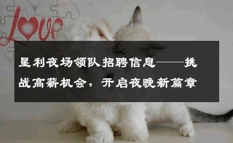 垦利夜场领队招聘信息——挑战高薪机会，开启夜晚新篇章