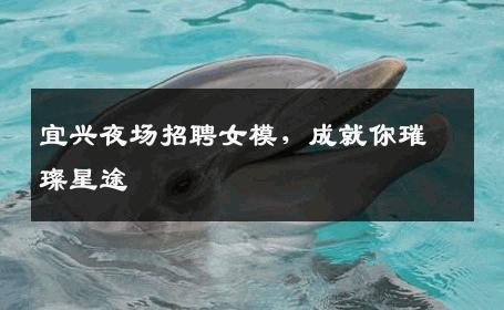 宜兴夜场招聘女模，成就你璀璨星途