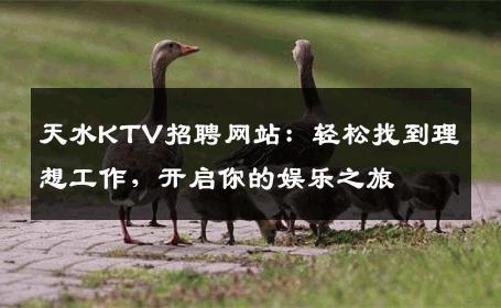 天水KTV招聘网站：轻松找到理想工作，开启你的娱乐之旅