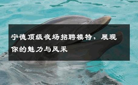 宁德顶级夜场招聘模特，展现你的魅力与风采
