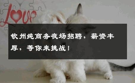 钦州纯商务夜场招聘，薪资丰厚，等你来挑战！