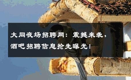 大同夜场招聘网：震撼来袭，酒吧招聘信息抢先曝光！