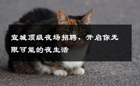 宣城顶级夜场招聘，开启你无限可能的夜生活