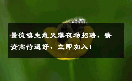 景德镇生意火爆夜场招聘，薪资高待遇好，立即加入！