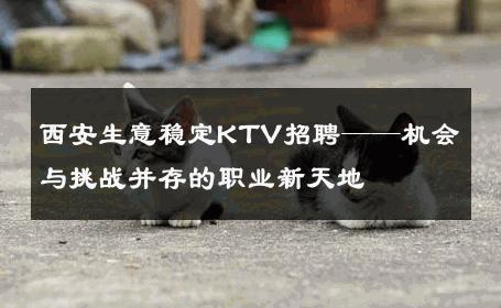 西安生意稳定KTV招聘——机会与挑战并存的职业新天地